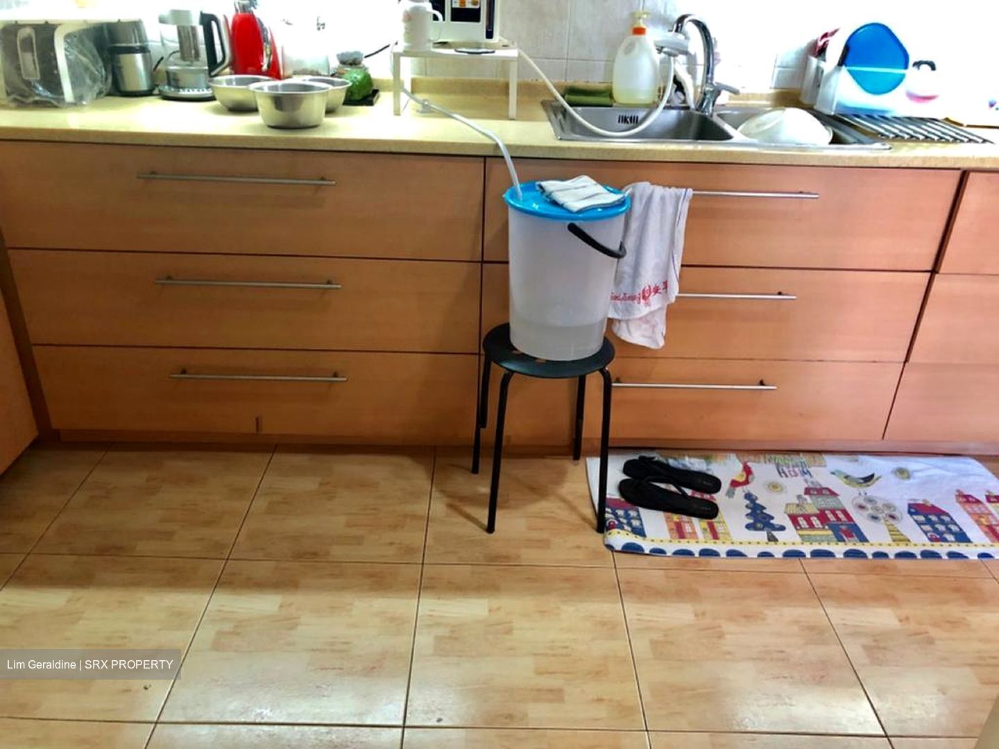 Cairnhill Plaza (D9), Apartment #553868271